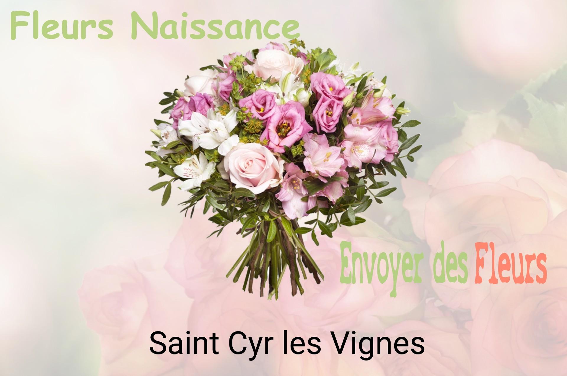 Bouquet de fleurs de naissance livré à Saint-Cyr-les-Vignes